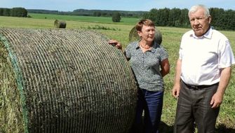 Быть лидером отрасли