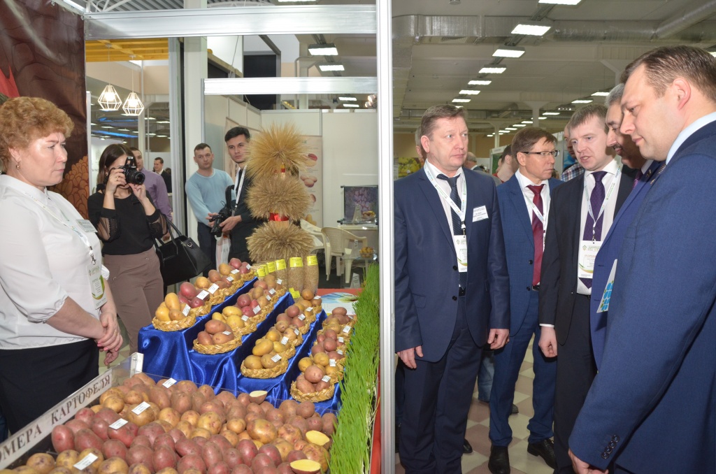 выставка «Картофель-2020»