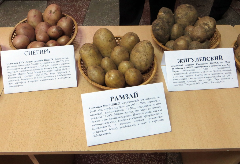Второй Агрономический форум Пензенской области