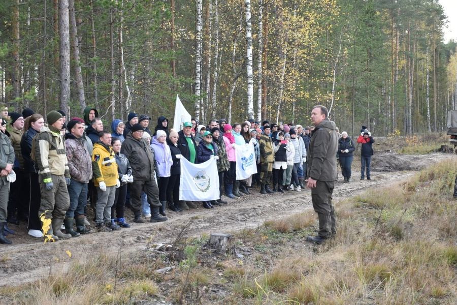 В Марий Эл две тысячи человек  приняли участие в&nbsp;акции «Сохраним лес»
