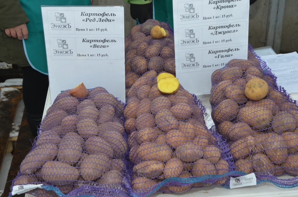 выставка «Картофель-2020»